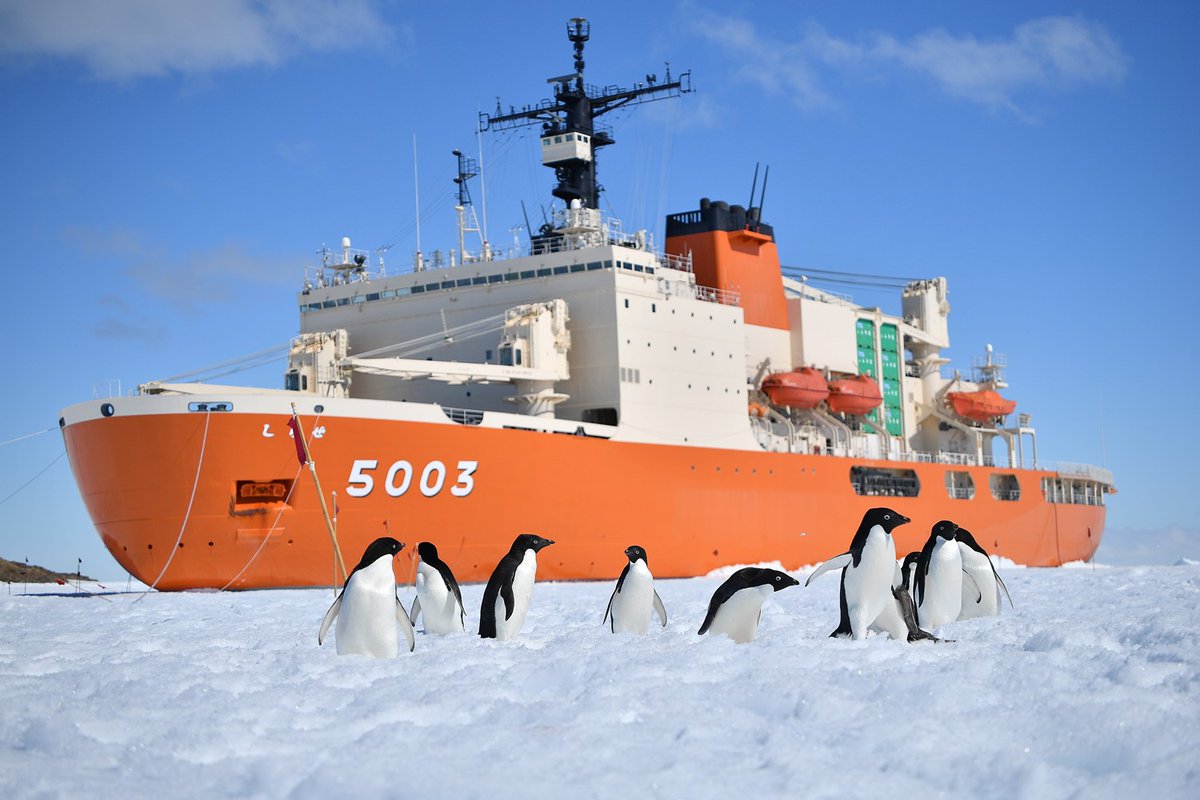JMSDF_PAO's tweet image. ⛄#砕氷艦しらせ の知らせ🐧

1月1日　アデリーペンギンから新年のご挨拶🐧、おせち準備🎍
1月2日　67次隊、2026年決意の一枚
1月3日　パイプライン輸送完遂💪

HP‣mod.go.jp/msdf/operation…
YouTube‣youtube.com/watch?v=r4sYOy…