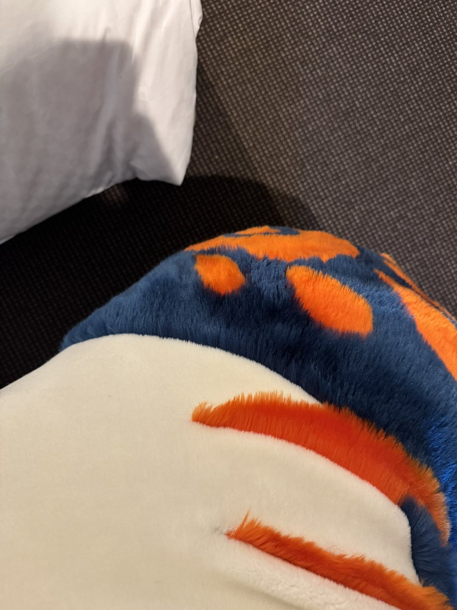 mp_696's tweet image. れっつご