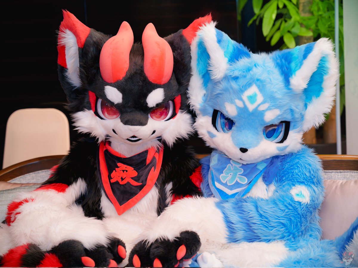 黑小焱 tweet media