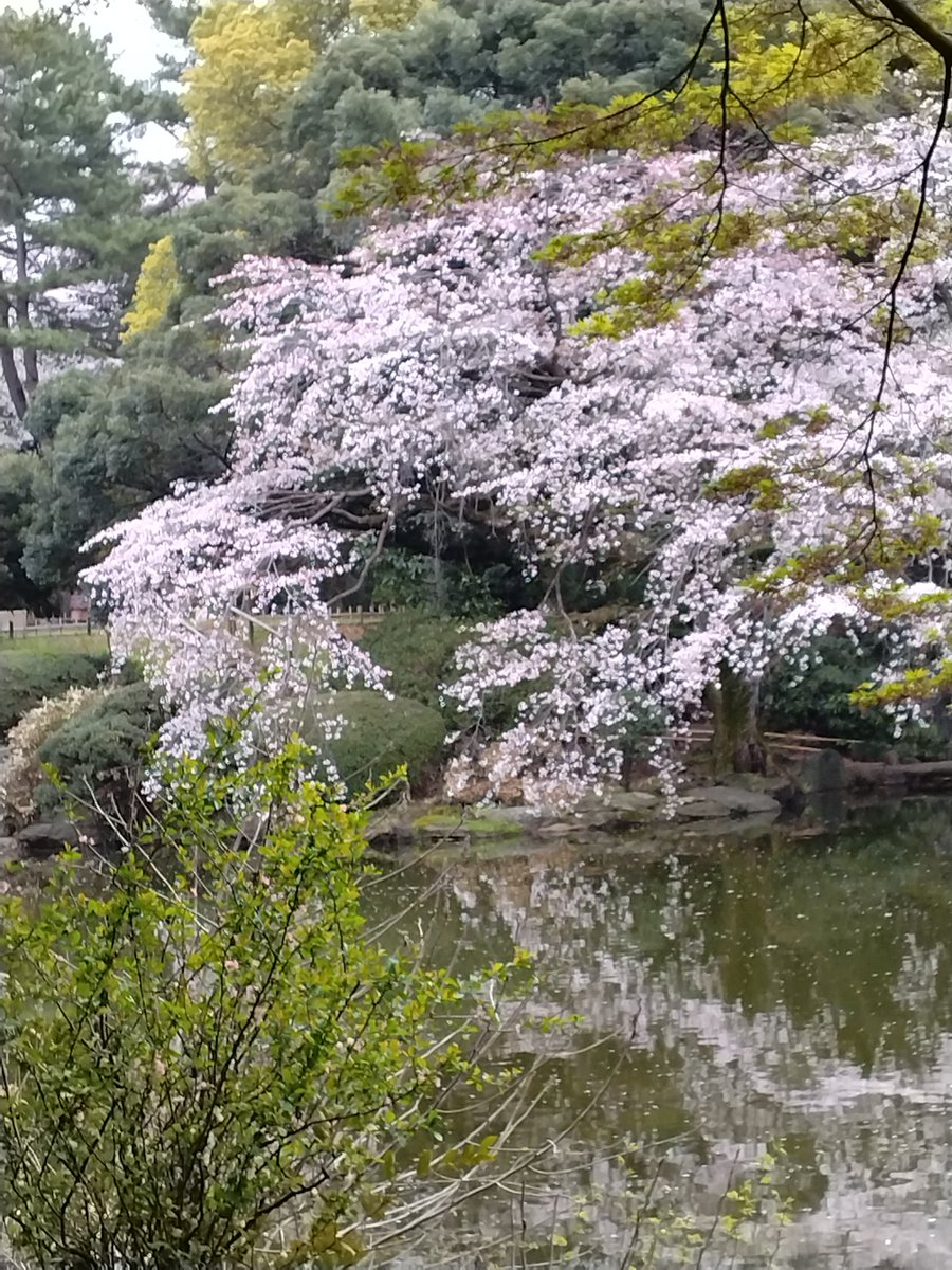絶対今日撮っていないって分かる写真をあげる見た人も強制
