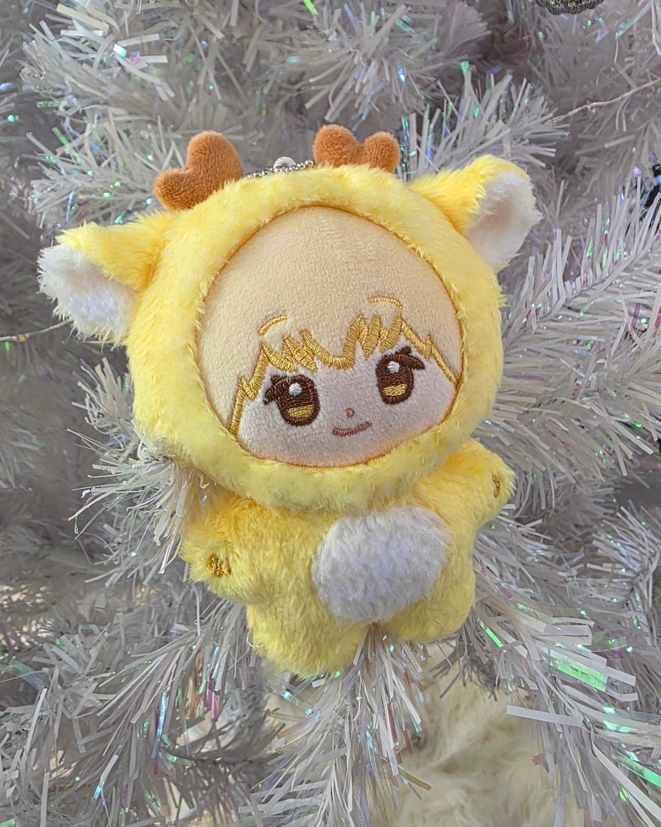 디앤씨스토어 D&C STORE tweet media