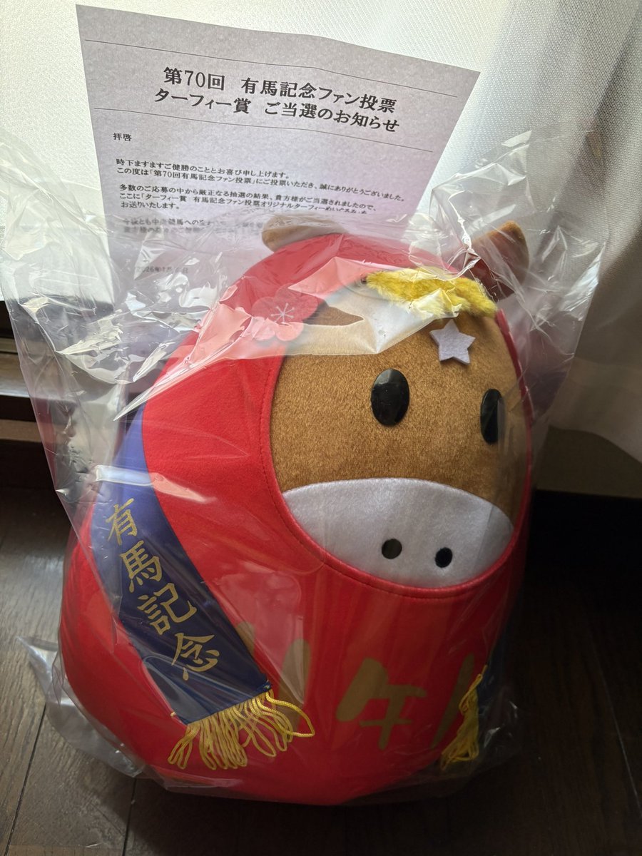 大きな- ̗̀📦 ̖́-が届いてビックリ!!!!!!!!!! 当選しちゃいました