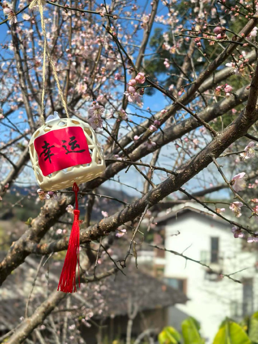 leesa.cheng（互fo） tweet media