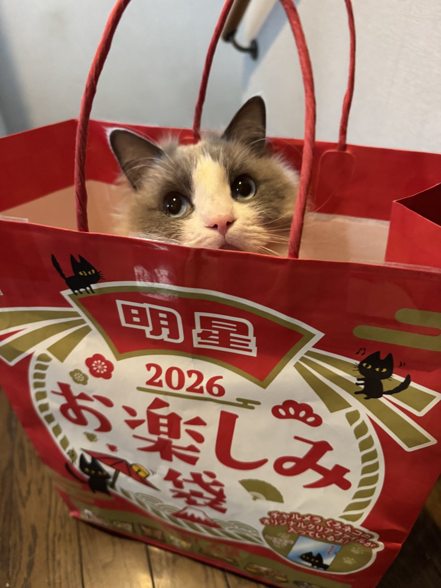 Maple_SKM's tweet photo. お楽しみ袋 https://t.co/8a13YrwUpm