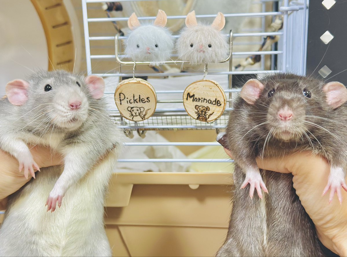 三角ユウリ (@hks_triangle) / Posts / X