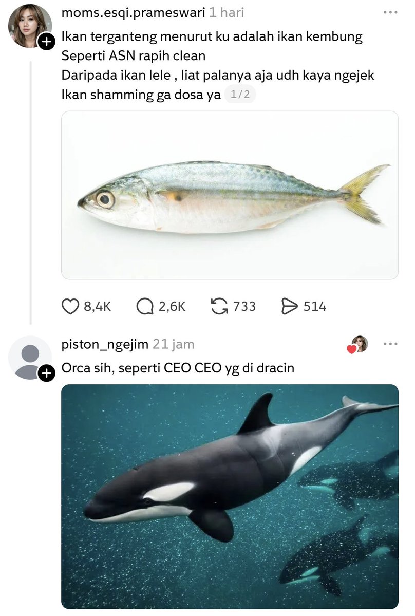 tokopedijee's tweet image. 