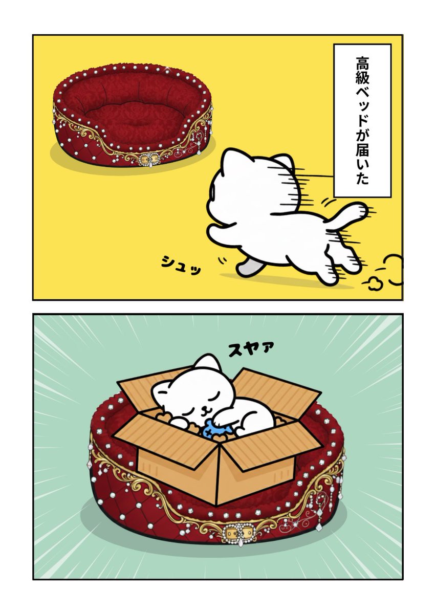 uribo。さまのページ うりぼー/URIBO公式 (@URIBO_0805) / Posts / X