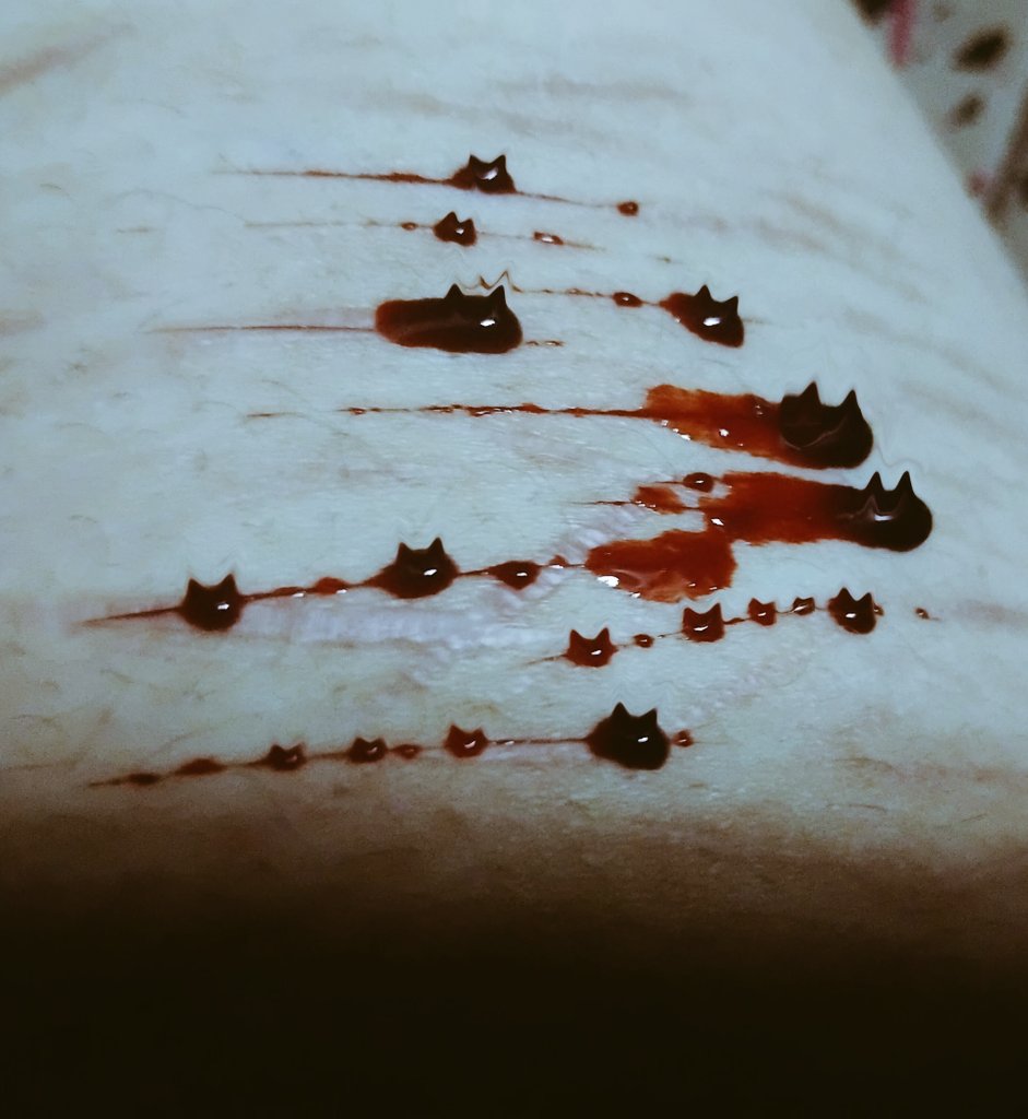 JimmyEuringer's tweet image. El trend de los gatitos se me hizo super tierno lo quise hacer yo tmb 🥹🥹 tal vez haga otro pero con estrellas, ame