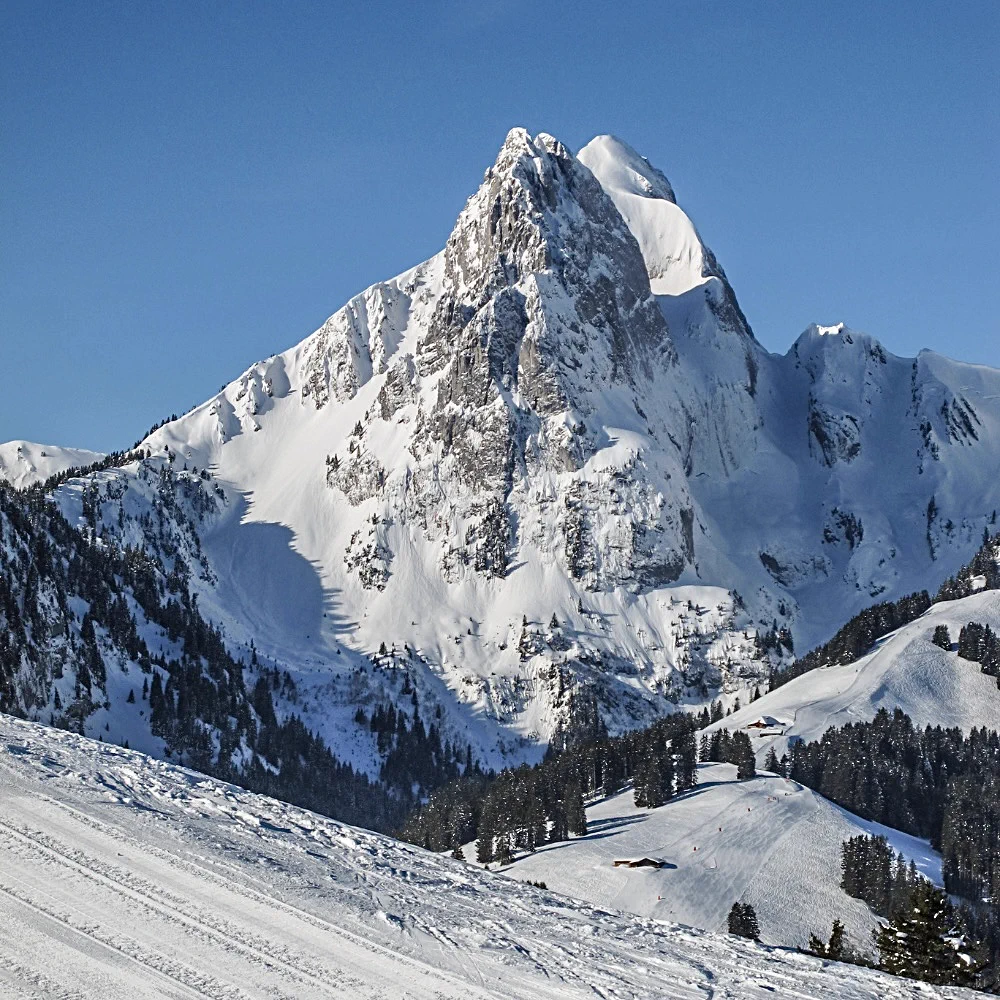 #schweizeralpen - Search / X