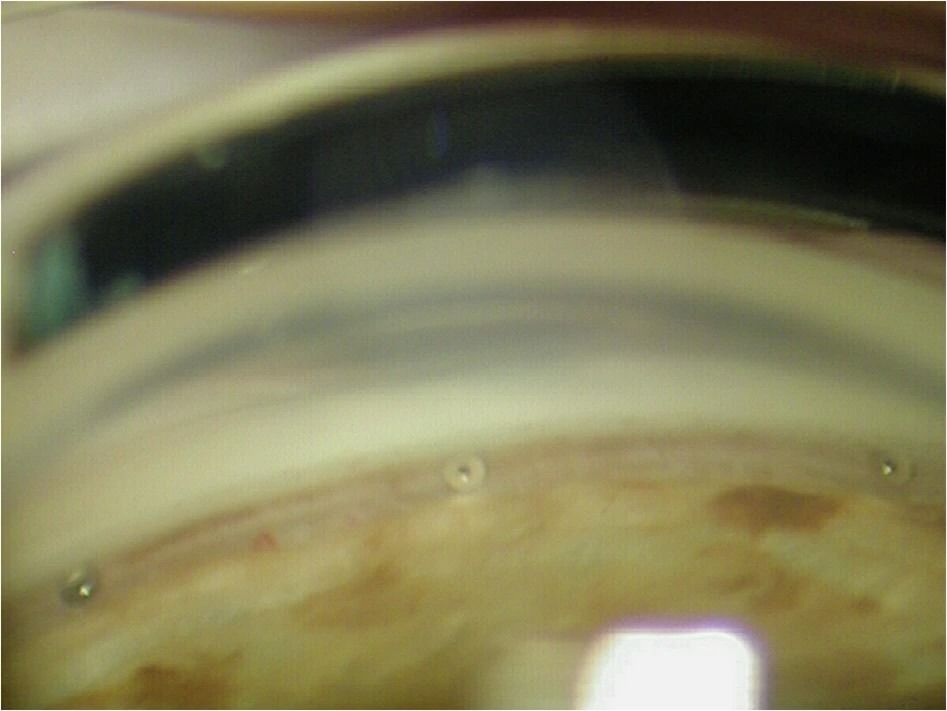 Eye Journal tweet media