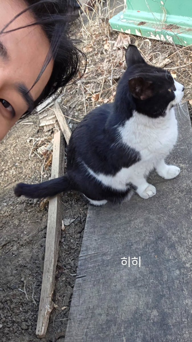 bestsong_yk's tweet image. 인스스 보니까 고양이가 피하는 거 같으니까 시무룩하게 알겠어.. 하던 영현이 생각났어 ㅠㅜㅜ