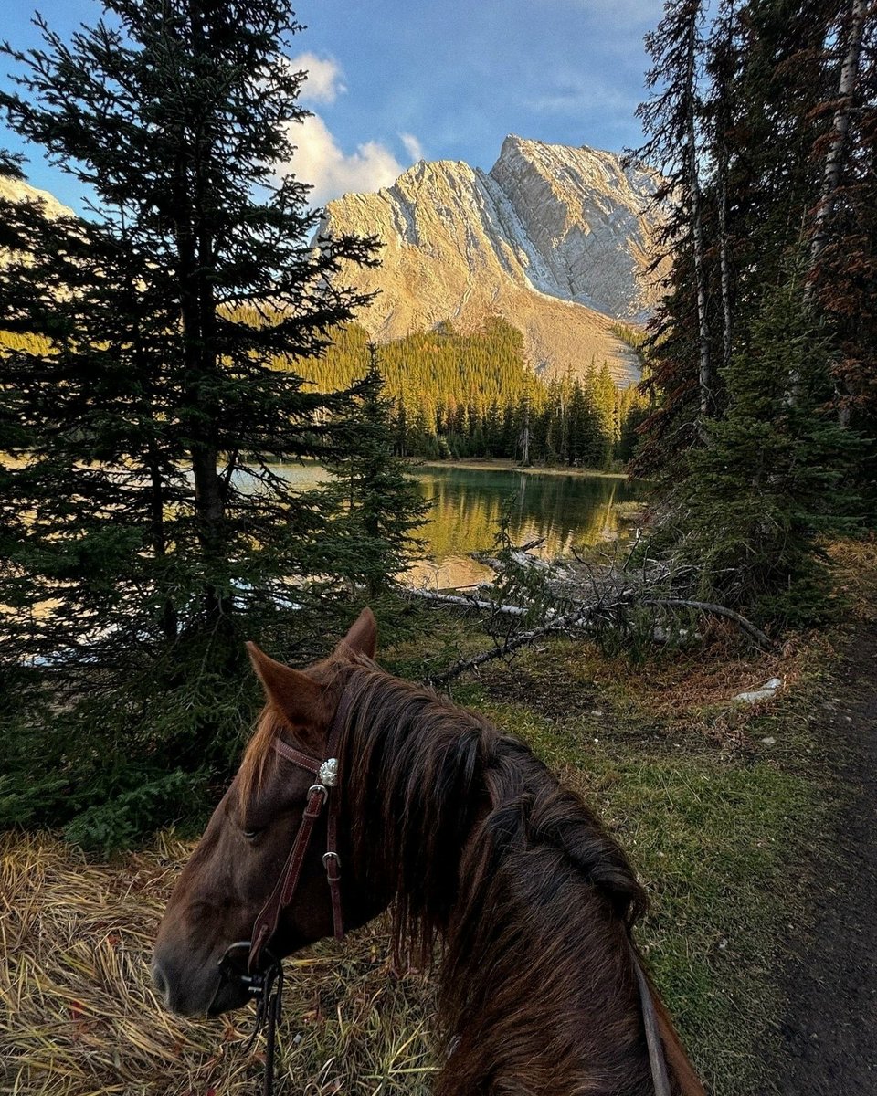 opticoded's tweet image. May my soul bloom in love for all existence