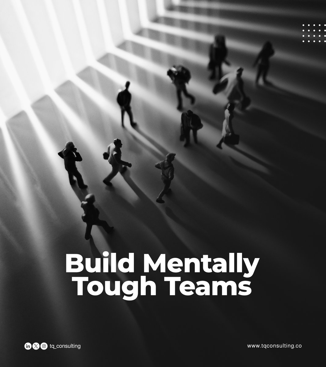 TQ Consulting tweet media