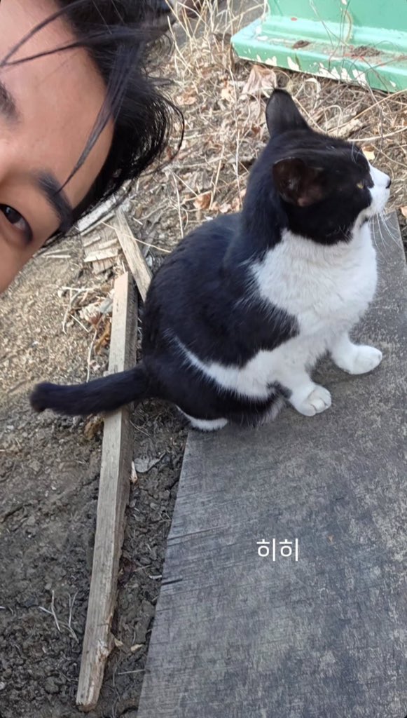 fromkittyk's tweet image. 