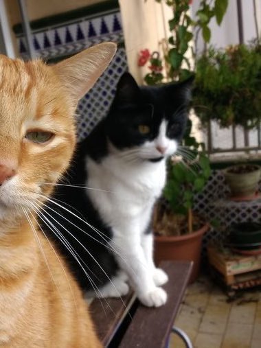 fromkittyk's tweet image. 