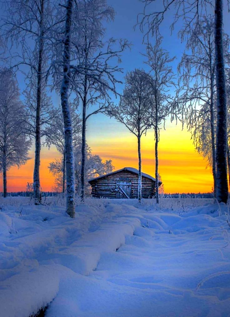 Gentleman_1965's tweet image. Early morning glow