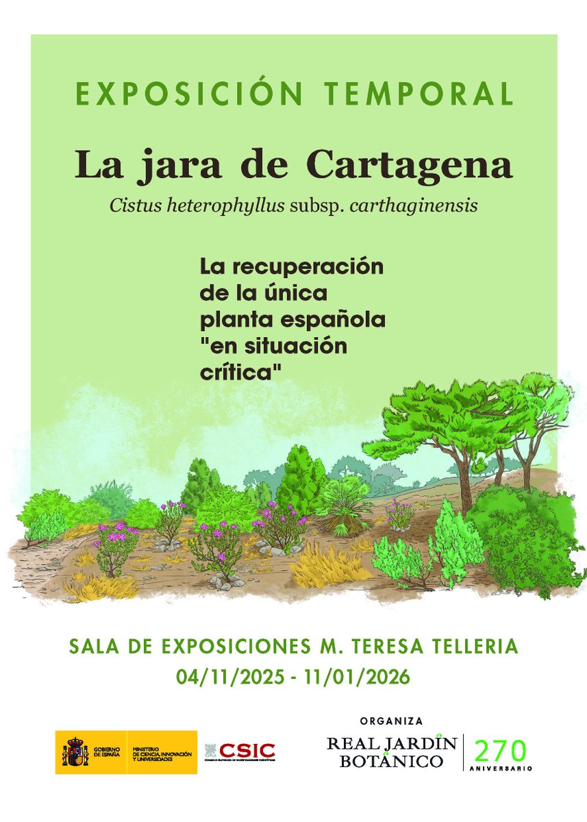 Jara de Cartagena tweet media