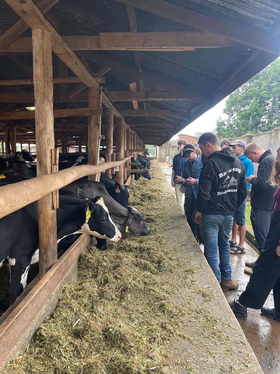 SightFarm1's tweet photo. Hosted our German host farmers under @unyfa1 at farm https://t.co/hMZxCAEqeZ