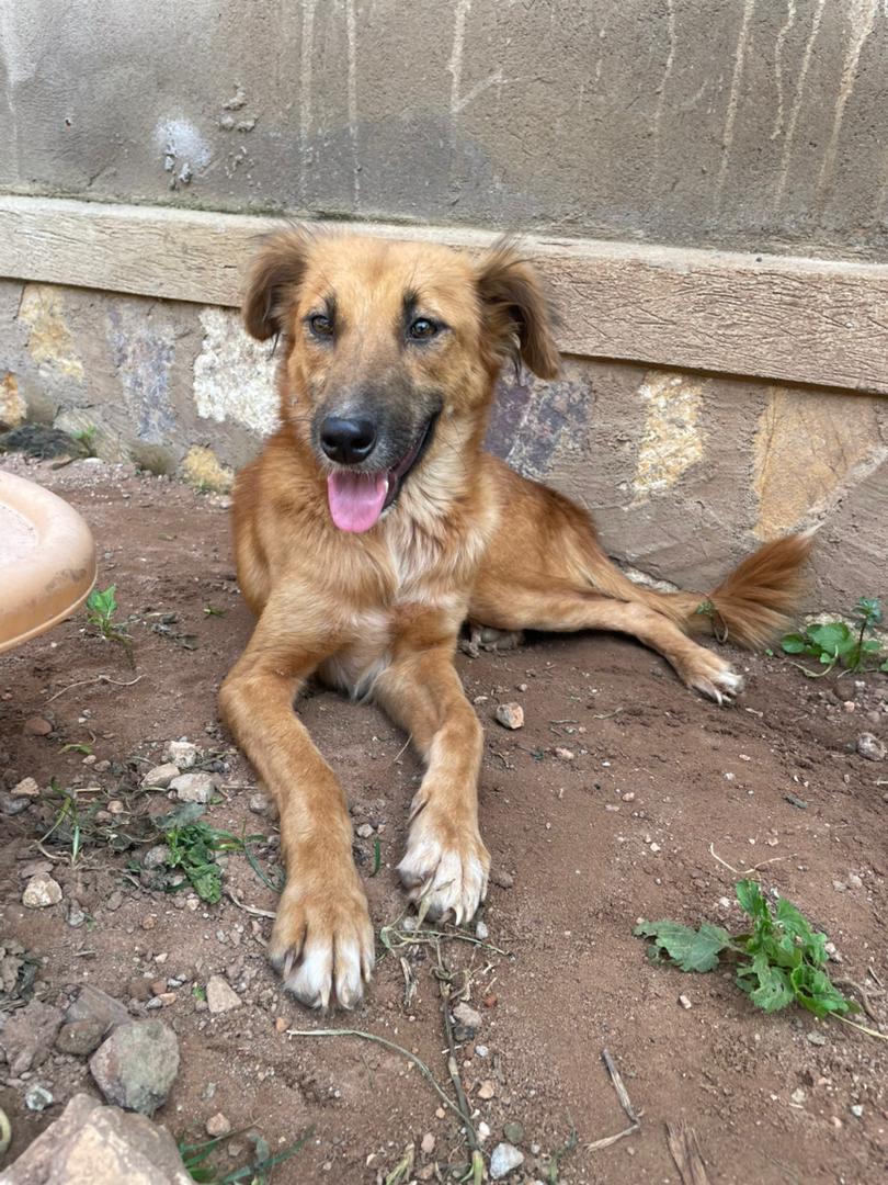 SserugoA55623's tweet image. Please donate via gofundme #dowhatyoulove gofund.me/c65ada59f