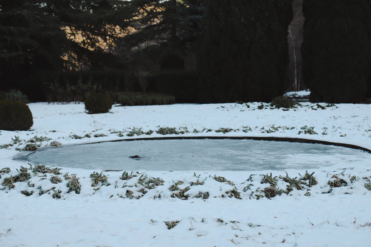 National Botanical Garden of Georgia tweet media