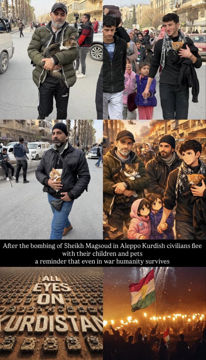 في ناس عنا واقفين عالحياد ناطرين مين يربح قسد ولا النظام ليطلعوا يرفعوا علم المنتصر 🤣 ونفس هالجماعة مطبلين درجة أولى لقضية فلسطين والشعوب المظلومة طيب يا جماعة خلونا عرأي واحد إذا المعيار عندكم إنو الظالم هو السلطة والمظلوم هو الشعب ليش هون فجأة صم بكم عمي وما بتشوفوا متل ما