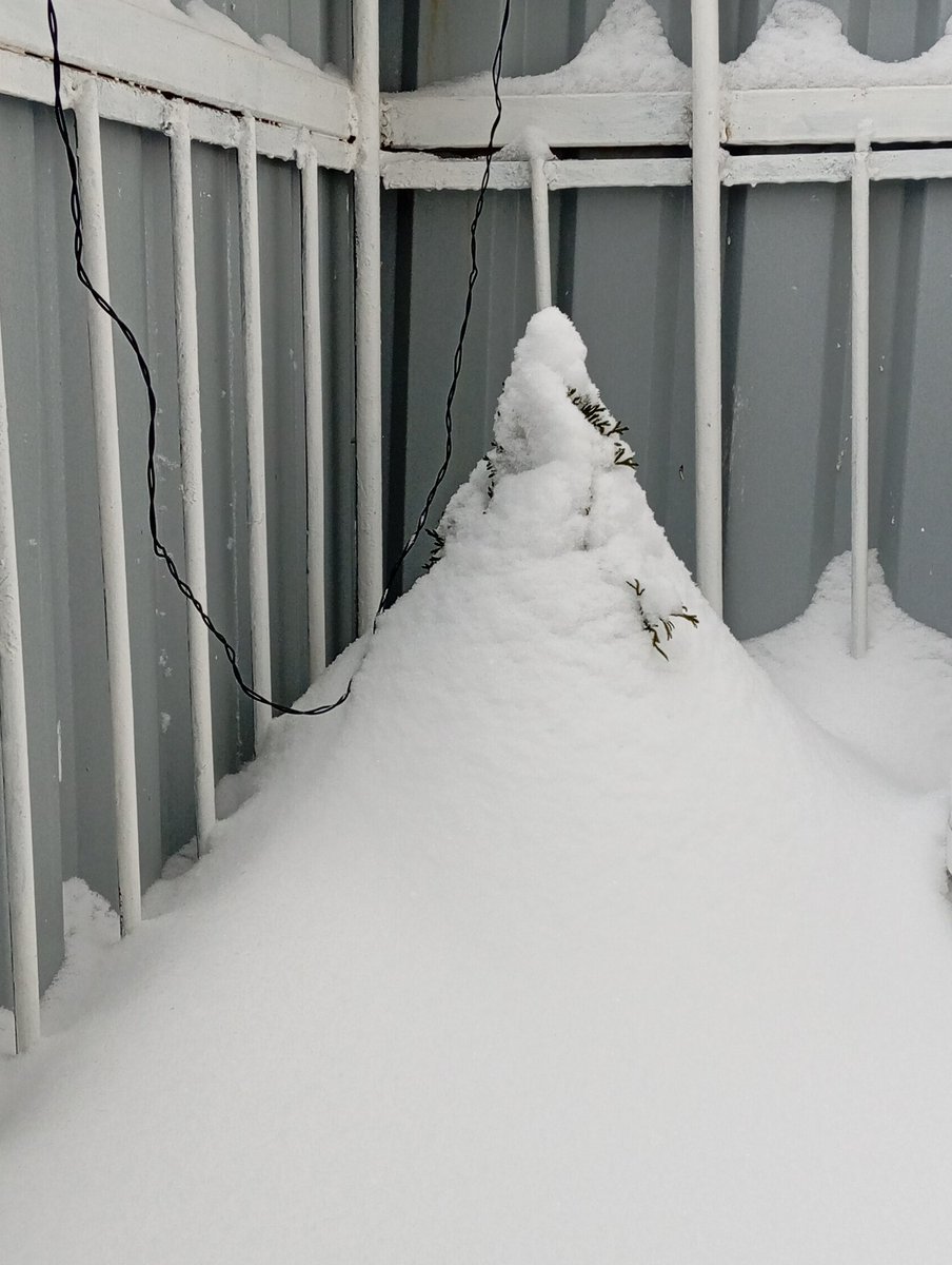 ymared's tweet image. 😏 хорошо, что мне сегодня никуда не надо, в городе наверное адок