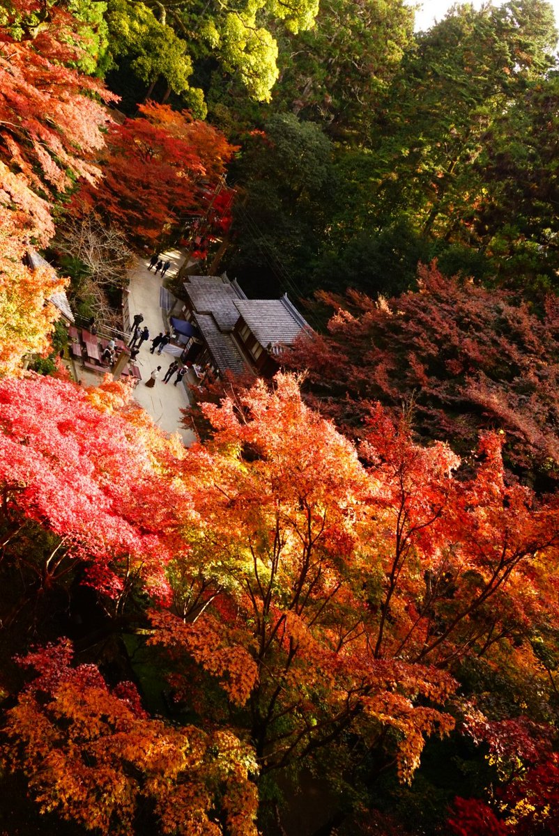 まこと (@yamakoto01) / Posts / X