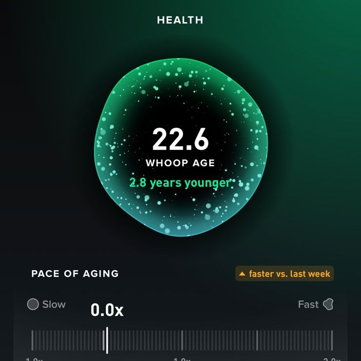 deepak 🤖 tweet media