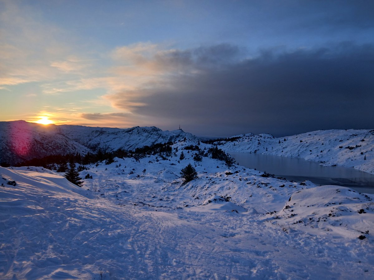 Iain Johnston tweet media