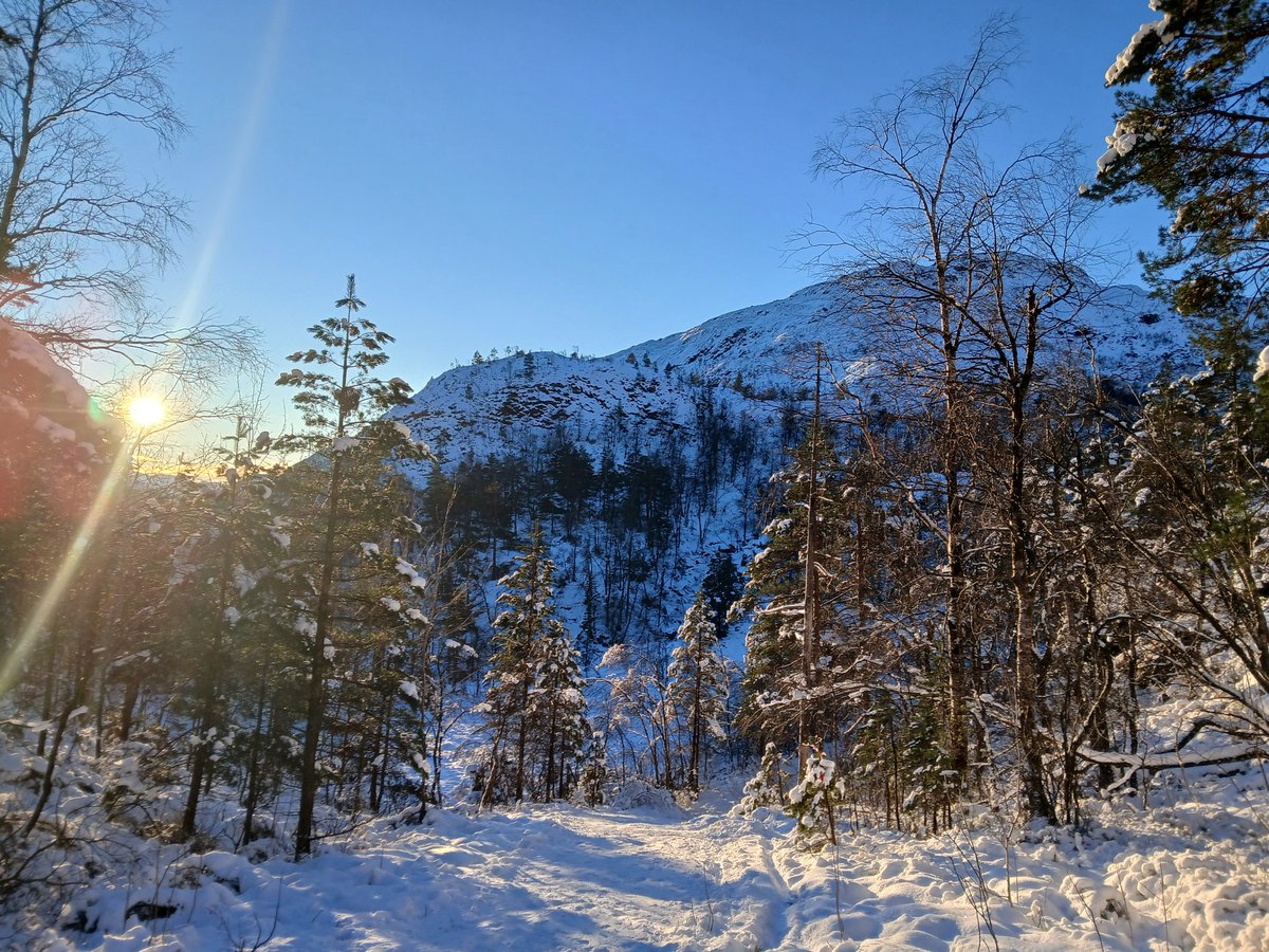 Iain Johnston tweet media