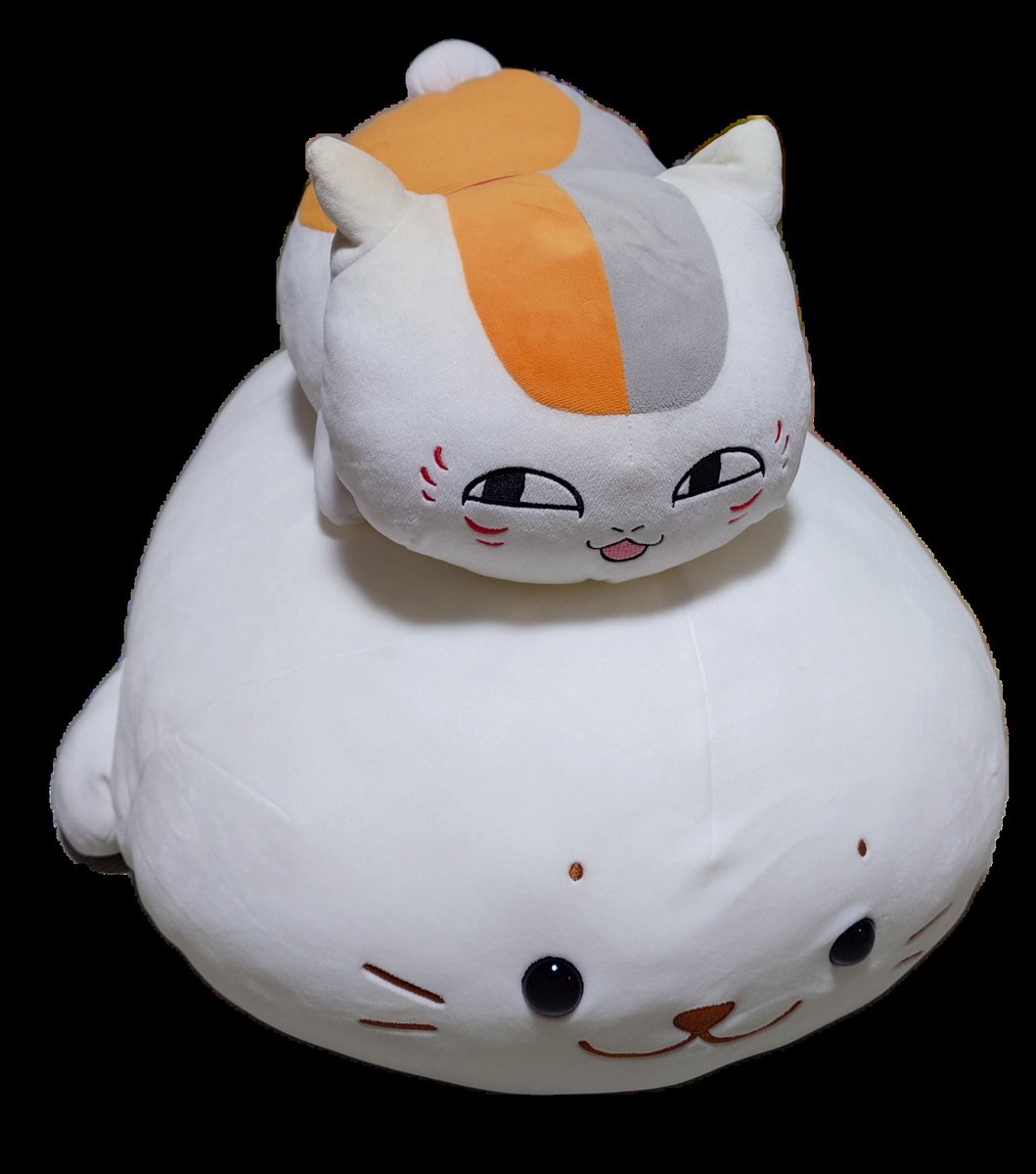 Number8Team0's tweet image. なんか可愛いから載せよう🐱🦭