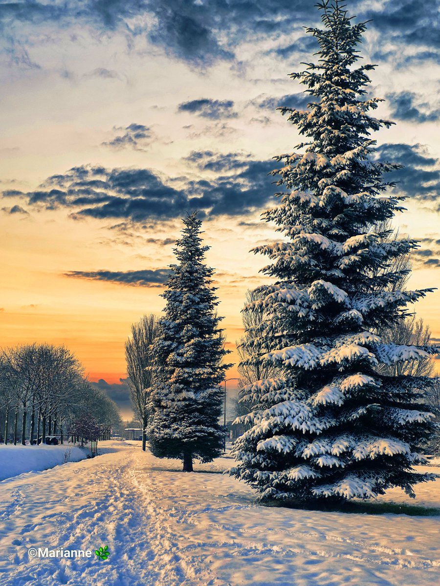 Goedemorgen!
Toen de zon nog scheen.......
Vrolijke Vrijdag en fijn weekend.  Wees voorzichtig🌲🤍☕️👋