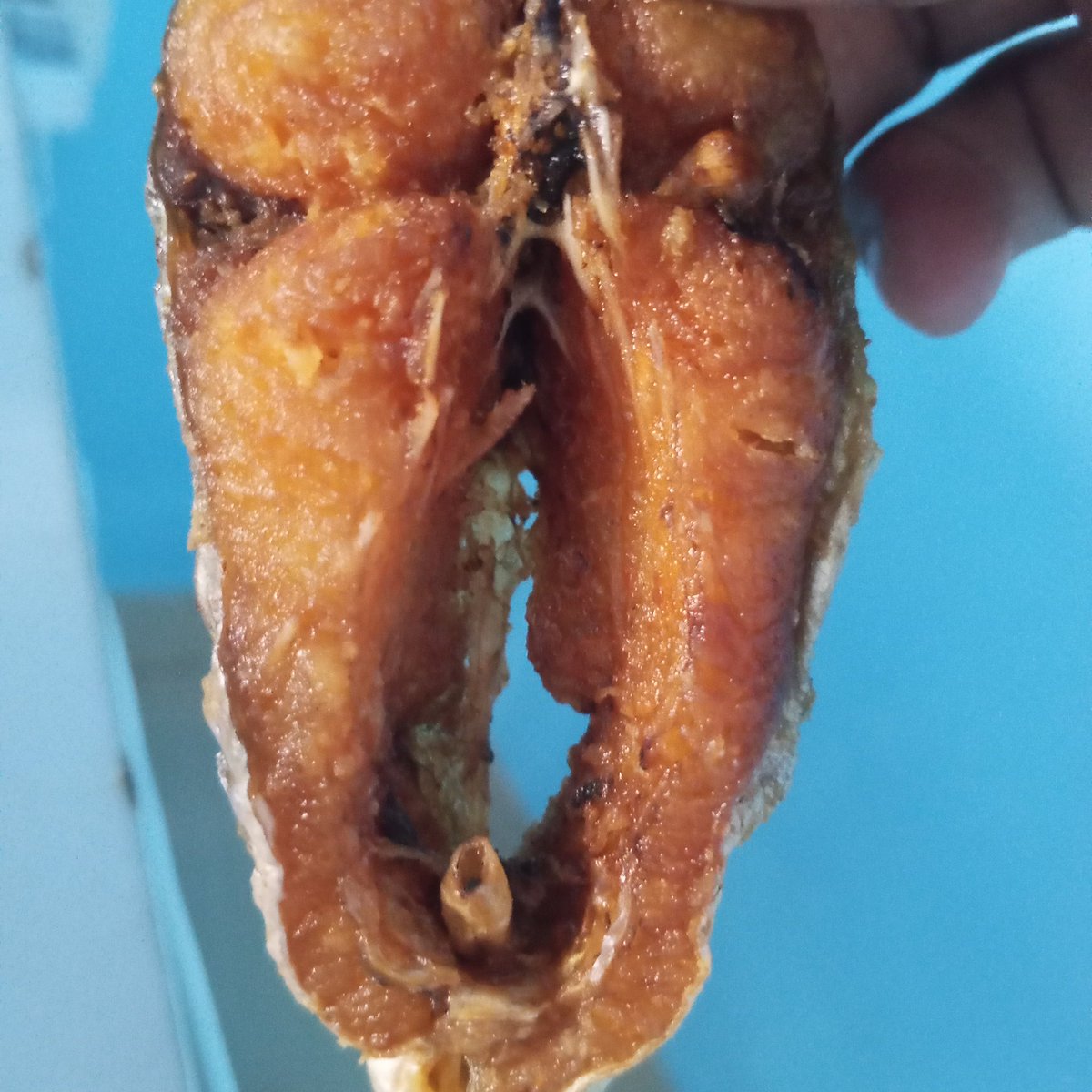 forconditioned's tweet image. 