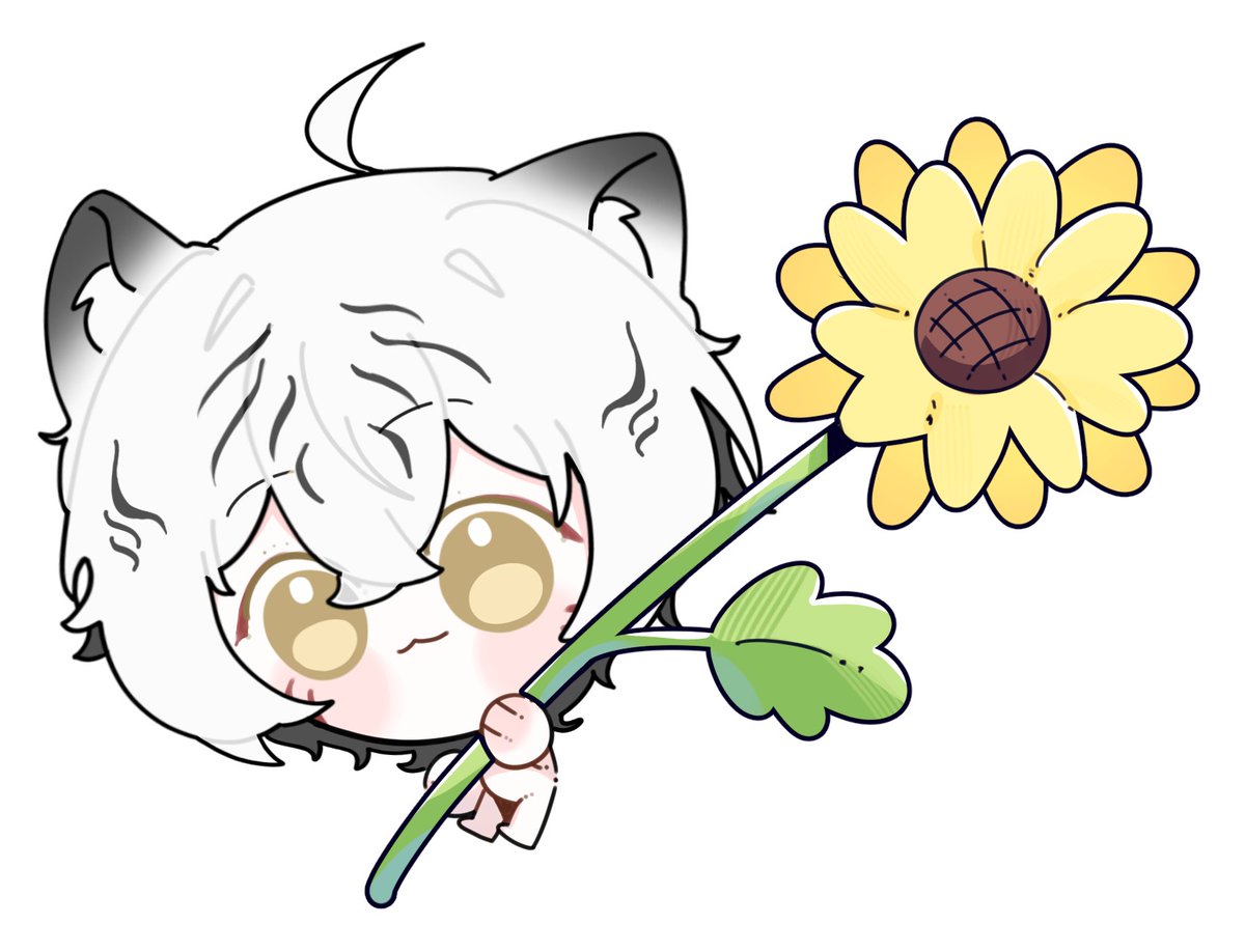 🐯ToraSunday🤍 tweet media