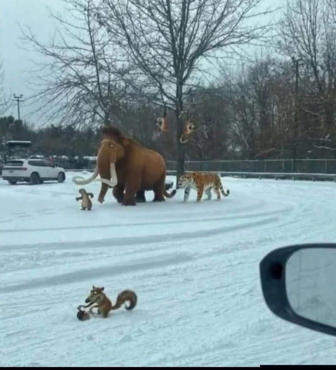 Heimo Lepuschitz tweet media