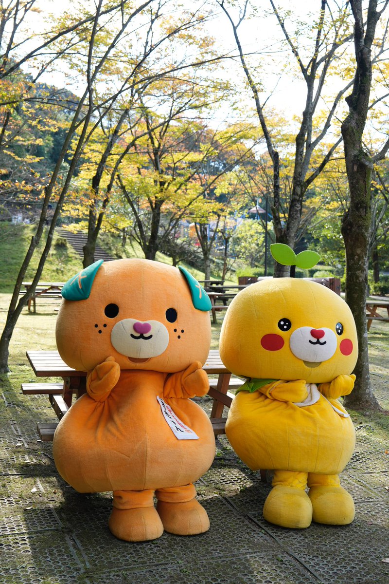 みきゃん様 みきゃん【公式】《愛媛県イメージアップキャラクター》 (@micanehime