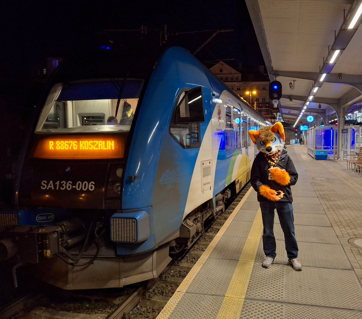 Happy #FursuitFriday  🤗
In the photo, me and the train (PESA Atribo) travelling to Koszalin 😇

🚉 Szczecin Główny 
📷 <a href="/snappyaquatic/">S.N.A.P.P.Y (snappyaquatic.bsky.social)</a>