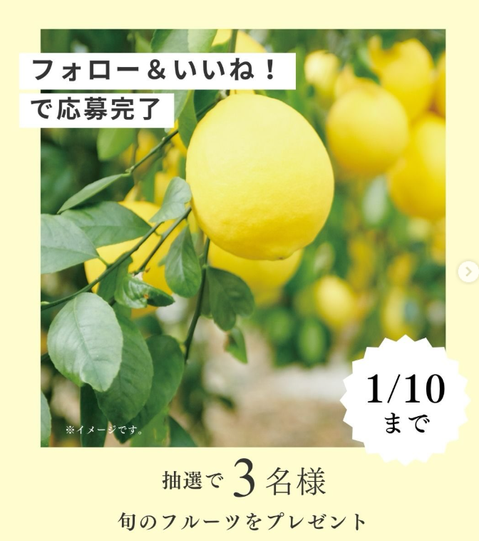 🎁全農公式Instagram1月のプレゼントキャンペーン🎁

Instagramアカウント「全農広報部【公式】／食の便利帳（@ zennoh_official）」
では毎月プレゼント企画を実施中😋
今月は3名様に「八丈フルーツレモン（約1.5kg）」が当たる‼🍋
締切👉2026/1/10

詳細は全農公式Instagramをチェック👀

#全農