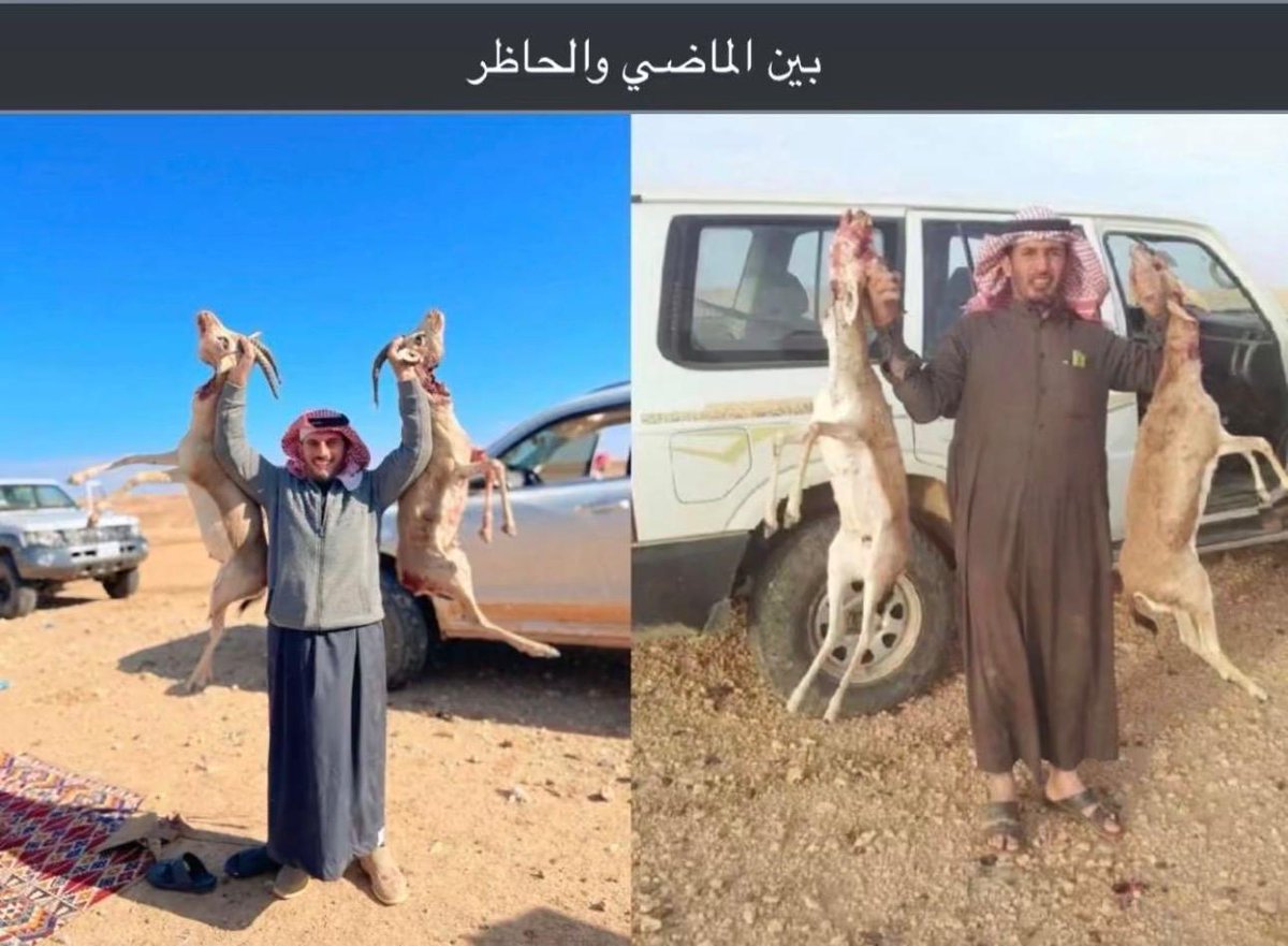 الشاعر عايد الطرقي tweet media