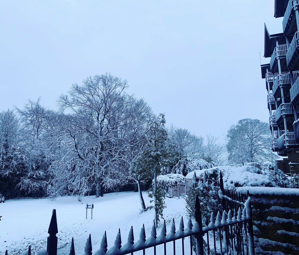 Katey Dent tweet media