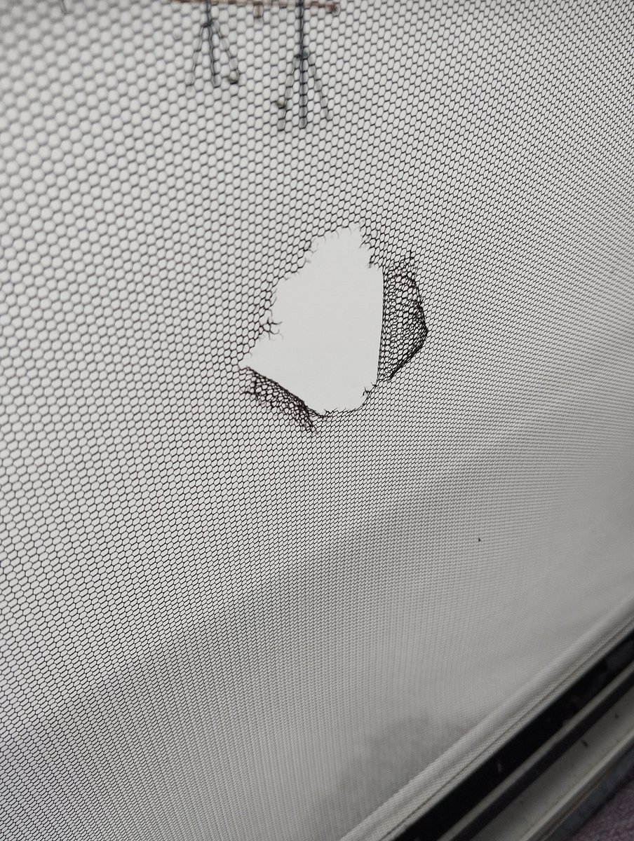 Die Nacht hat es plötzlich dolle gegen mein Fenster geknallt.
Jetzt habe ich mal geguckt und gesehen das hier ein schönes Loch drin ist. 
Irgendein kleiner Böller oder was auch immer muss gegen meine Scheibe gekommen sein....
An der Scheibe ist zu Glück nichts zu sehen.