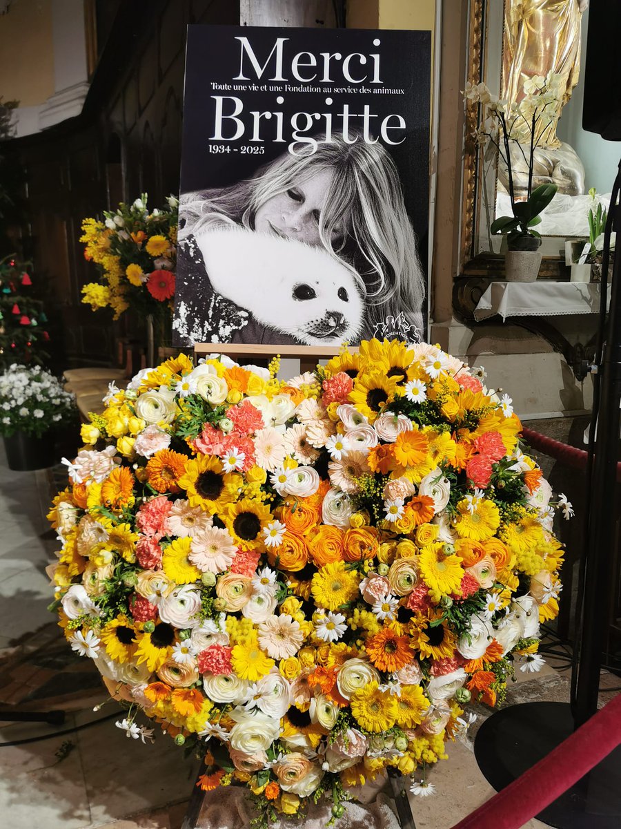 🕯️La disparition de Brigitte Bardot a profondément touché un très grand nombre de Français et de personnes du monde entier. Avec beaucoup d’émotion, tous ont transmis de nombreux messages d’amour, de tendresse et de soutien à sa famille, mais aussi à la cause qui lui tenait tant