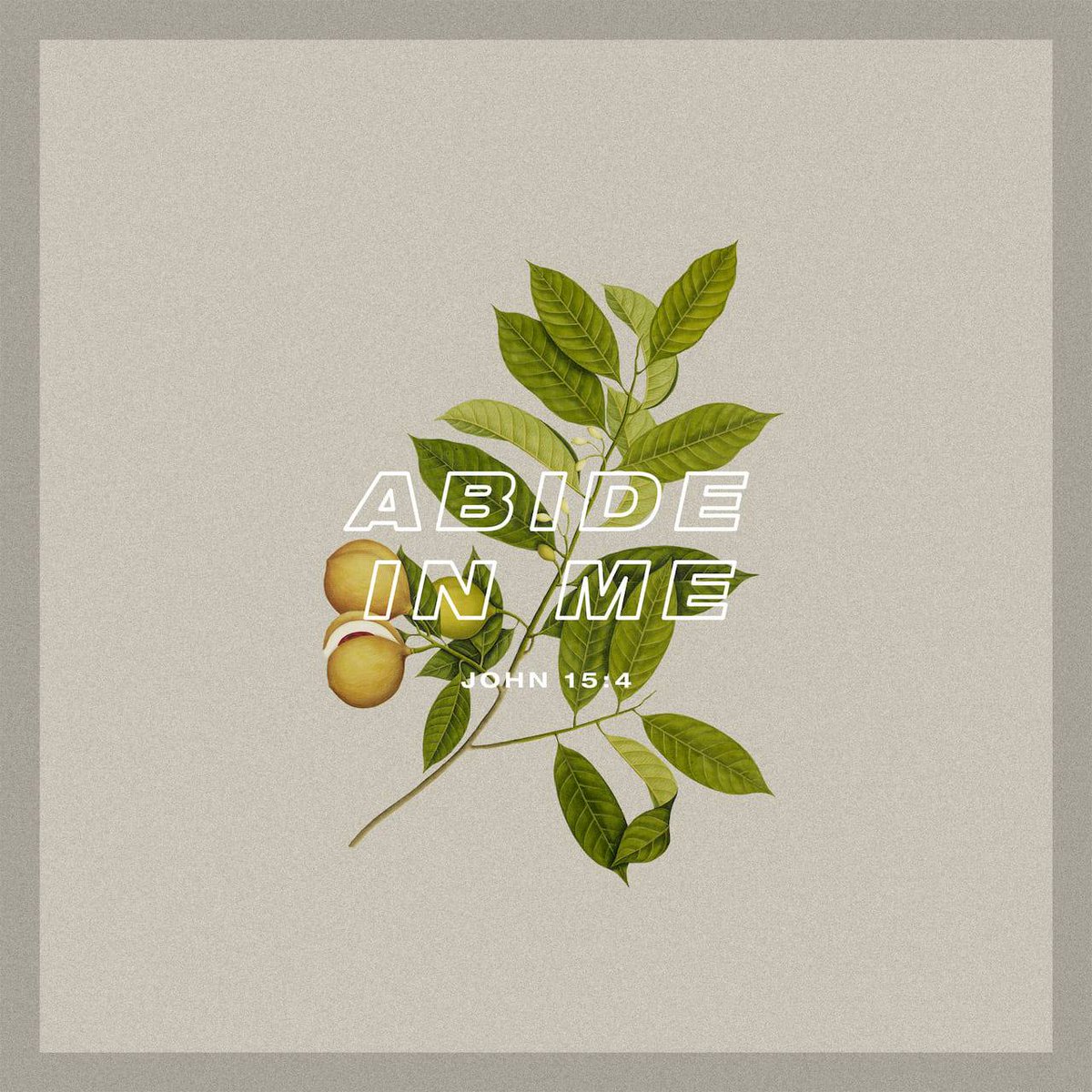 calebbetta's tweet image. John 15:4 NLT
[4] Remain in me, and I will remain in you. For a branch cannot produce fruit if it is severed from the vine, and you cannot be fruitful unless you remain in me.

bible.com/bible/116/jhn.…
