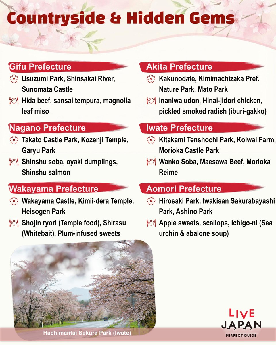 LIVE JAPAN tweet media