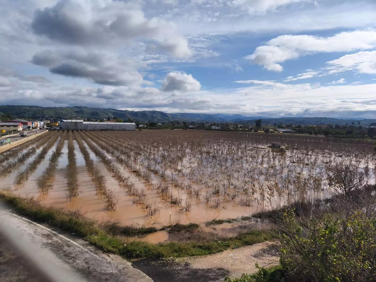 📰 El alumno Javier González publica en <a href="/levante_emv/">Levante-EMV</a> su artículo Las acequias de Carcaixent: el laberinto que salvó del diluvio 🔹Analizando la importancia del patrimonio hidráulico en el episodio del 28/12/2025. 🔗 ir.uv.es/sq7U9g5
