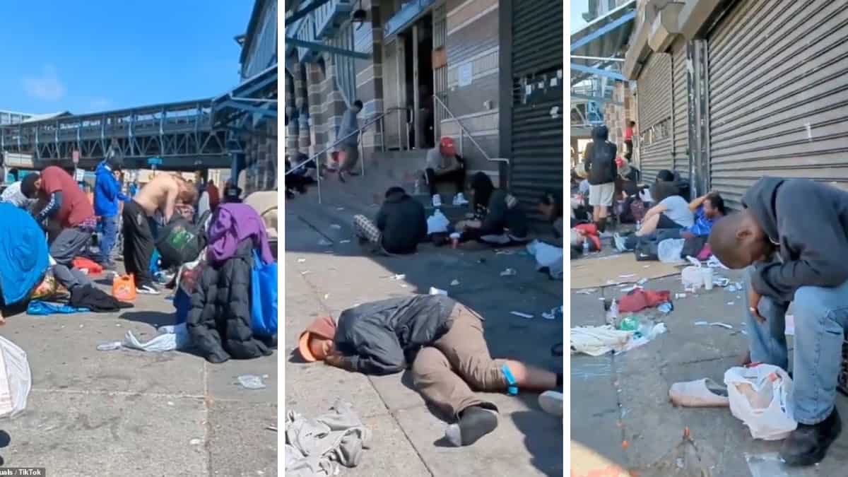 MaeBerrie1234's tweet image. Meanwhile in Philadelphia….