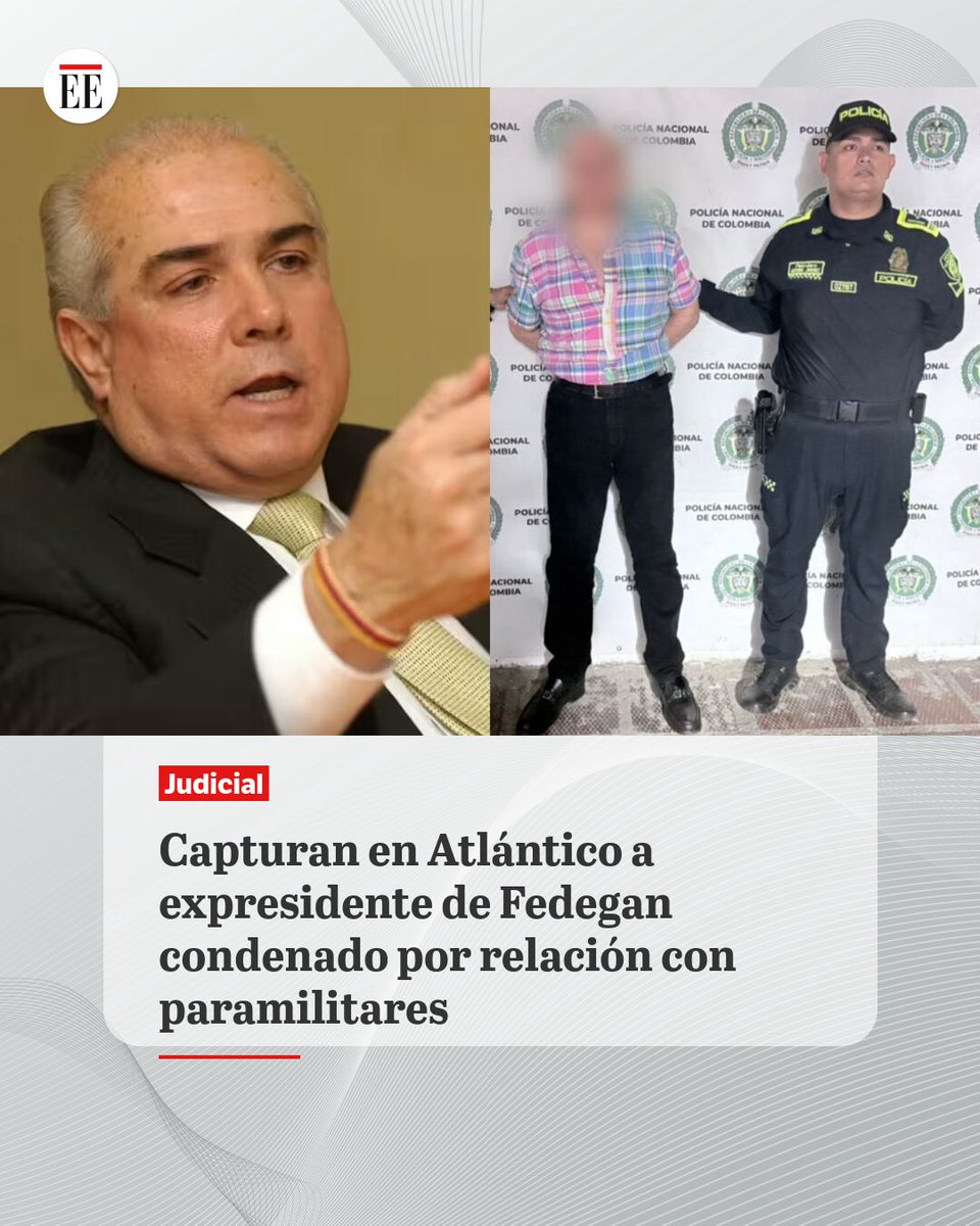 MISS POIROT tweet media