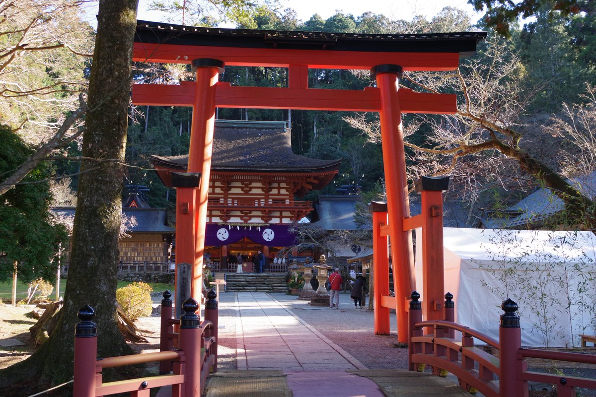 よっさん@吉之助 (@Ys_Sensyu_Riki) / Posts / X