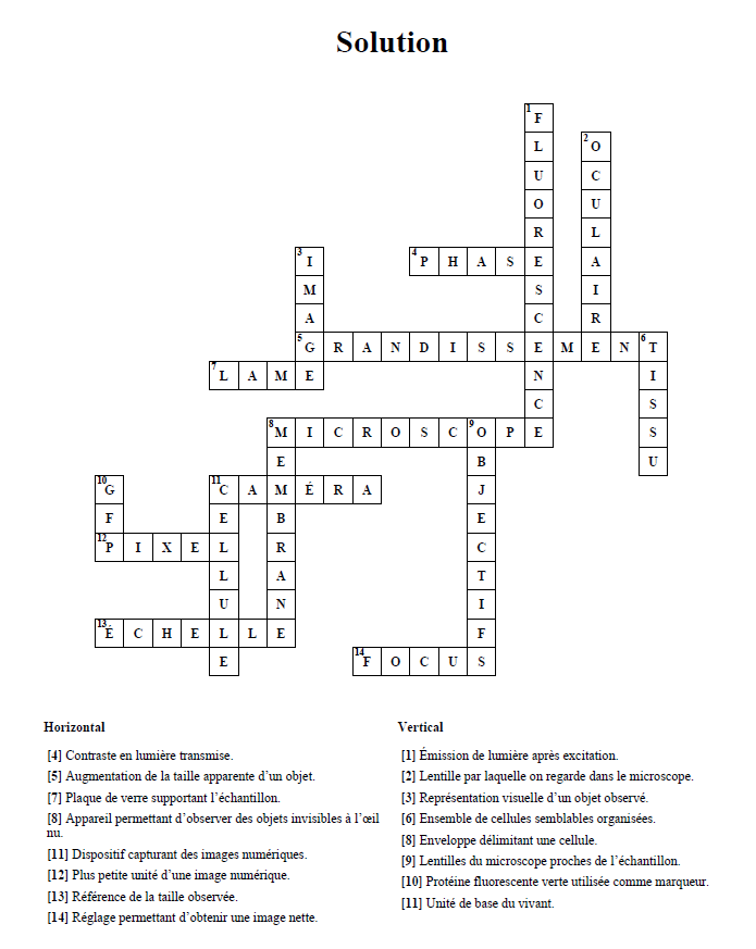 Lordil_Microscopie tweet media