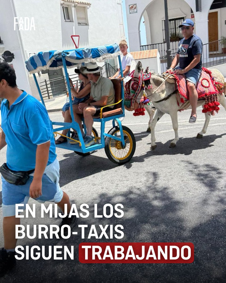 🔴🐴 La explotación no para...

Es hora de poner fin a esta práctica turística cruel y obsoleta y garantizar a estos burros una jubilación digna. Por favor, ayúdanos! 🙏

En unos días nos reuniremos con el Ayuntamiento de #Mijas y necesitamos que sigáis presionando en RRSS!
